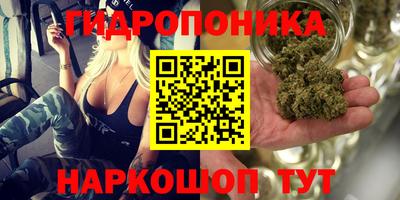 спиды Тара