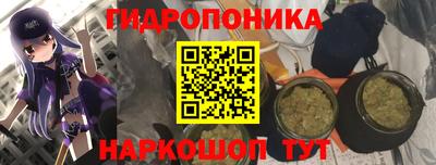 спиды Тара