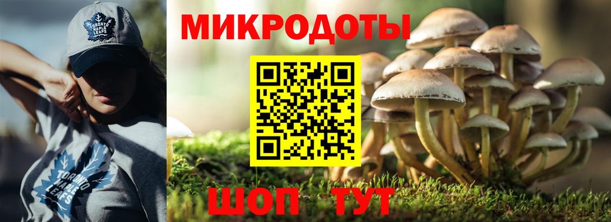 Галлюциногенные грибы GOLDEN TEACHER Гусь-Хрустальный